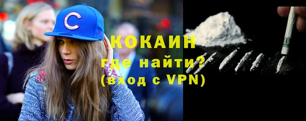 шишки Беломорск