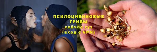 шишки Беломорск