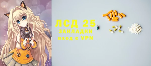 шишки Беломорск