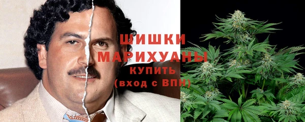 шишки Беломорск