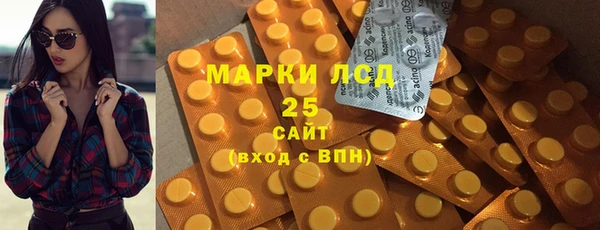 шишки Беломорск