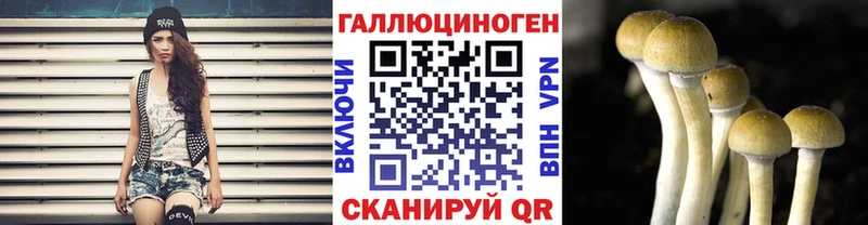 купить наркотики цена  Болотное  гидра онион  Псилоцибиновые грибы Psilocybine cubensis 